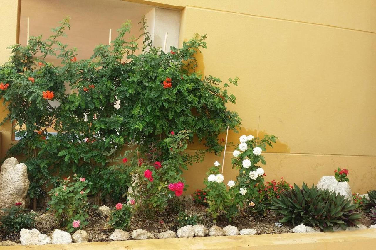 431 - Edif Aguamarina - Vacation Rental Home In The Coast Line Of Golf Del Sur 산미겔데아보나 외부 사진
